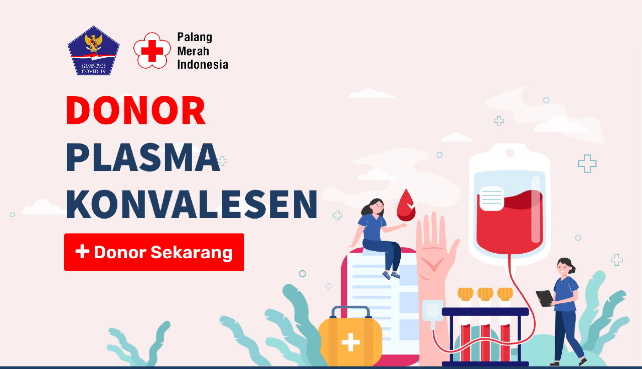 Donor Plasma Konvalesen